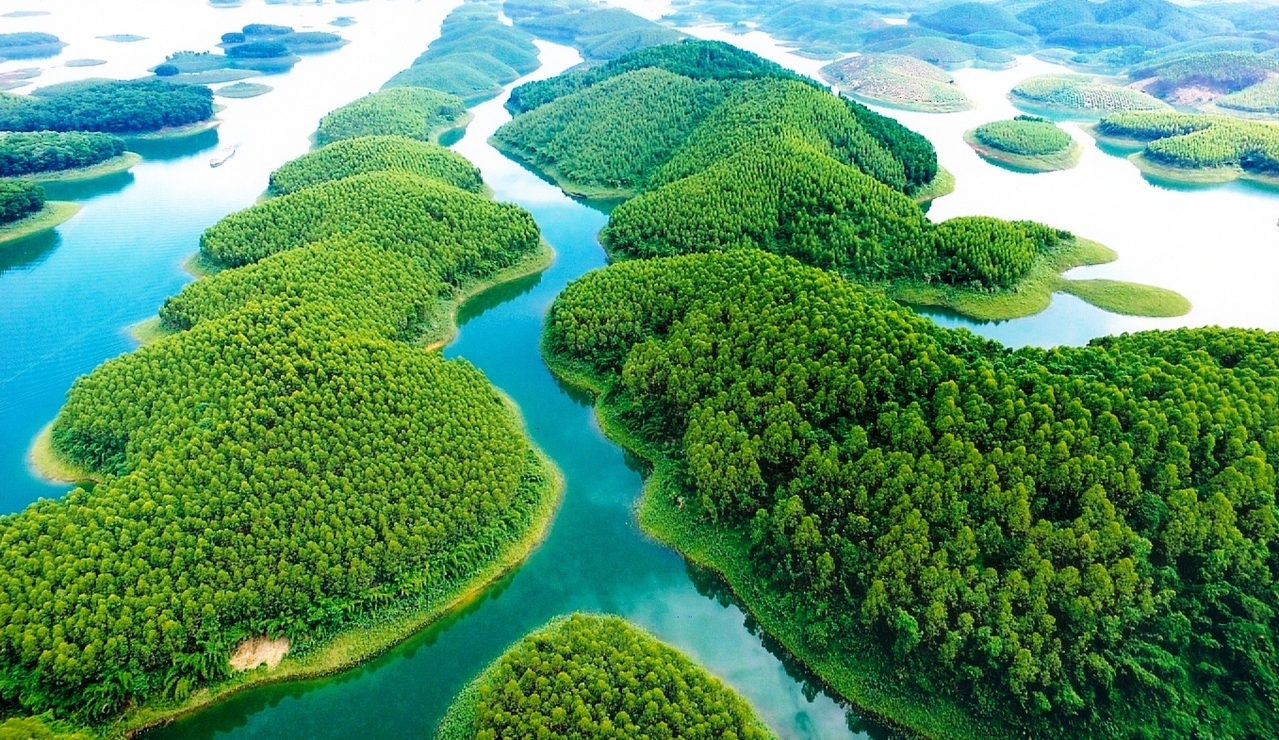 Kết quả thực hiện chính sách chi trả dịch vụ môi trường rừng  sau 2 năm thực hiện Luật Lâm nghiệp trên địa bàn tỉnh Yên Bái